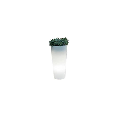 Vaso Ficus 60 Cavo Esterno Freddo